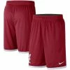 Men's Nike Crimson/White Alabama Crimson Tide Logo Performance Shorts 1 Men's Nike Crimson/White Alabama Crimson Tide Logo Performance Shorts -Nike Sales Store DSCO1136759104 M9JC